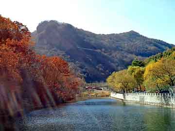 澳门天天开奖免费资料，空气净化器生产